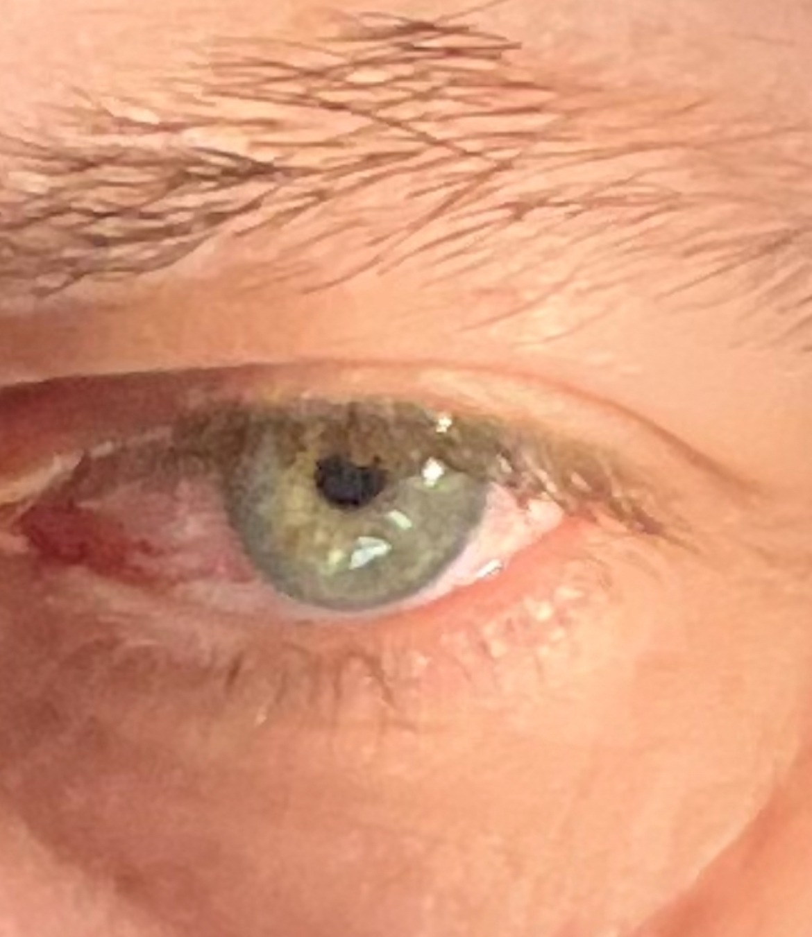 Perfil de Jean-dominique